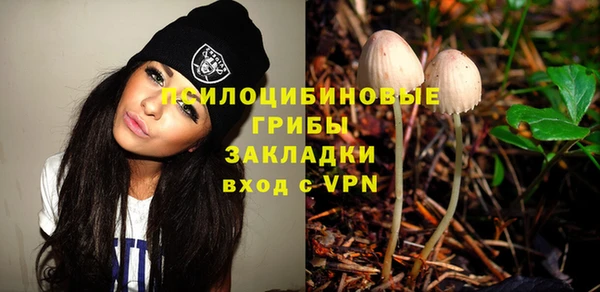 молекула духа Беломорск