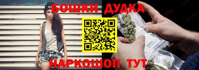 гашик Лесосибирск