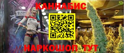 гашик Лесосибирск