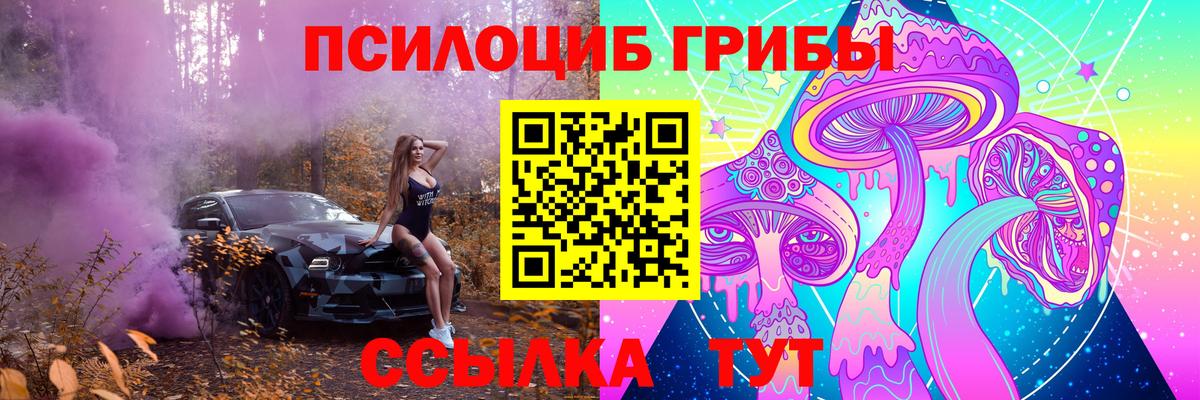 Галлюциногенные грибы Psilocybine cubensis Сердобск